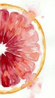 Watercolor grapefruit slice with vibrant pink and orange hues on white background for kitchen decor and healthy lifestyle designs.