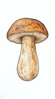 Watercolor mushroom with brown cap and cream stem isolated on white background, ready for design projects, educational materials, and nature illustrations.