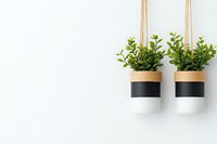 Modern hanging planters with green plants in black and white ceramic pots with natural rope against clean white wall, minimalist home decor style.