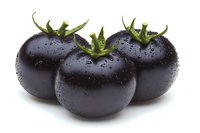 Three fresh black tomatoes with water droplets and green stems, isolated on white background, perfect for food, agriculture, and organic produce design.