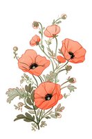 Delicate coral poppies with sage green leaves and stems on white background, botanical line art illustration with soft natural coloring. Isolated floral design.