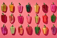 Colorful bell peppers arranged in rows on pink background, showcasing variety of red, yellow, green, and purple produce for culinary, food styling, and kitchen design projects.