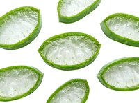Sliced aloe vera plant cross-sections with fresh green skin and translucent gel interior isolated on white background, suitable for cosmetic, skincare, and wellness design projects.
