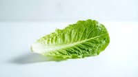 Fresh romaine lettuce leaf isolated on white background, suitable for food photography, culinary design, healthy eating content, and restaurant menus.