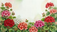 Watercolor geranium flowers in red, pink, and white with lush green leaves on a soft light background, perfect for cards and prints.