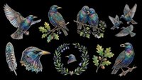 Hummingbirds and starlings with iridescent plumage isolated on transparent background. Ready for t-shirt design, clipart, stickers, sublimation, and print-on-demand projects.
