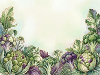 Watercolor illustration of fresh organic vegetables including broccoli, cauliflower, and leafy greens arranged on cream background. Suitable for food packaging, recipe blogs, and culinary designs.