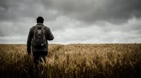 Male hiker with backpack walking through golden wheat field under dramatic stormy sky, adventure and outdoor exploration concept.