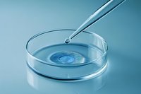 Laboratory pipette dropping liquid sample into petri dish with blue culture medium against light blue background for scientific research and testing.