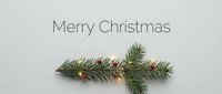 Merry Christmas greeting card with fir branch and glowing lights on light gray background, minimalist holiday design.