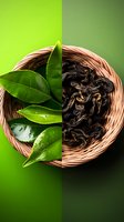 Fresh green tea leaves and dried black tea in woven bamboo basket, split composition showing contrast between raw and processed tea on green background.