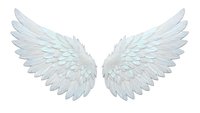 Elegant white angel wings with iridescent feathers isolated on transparent background for fantasy designs, spiritual concepts and creative projects.