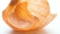 Translucent onion skin layer isolated on white background, suitable for culinary, food packaging, and educational design projects.