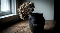 Dried hydrangea in a dark ceramic vase with Sorry written on it, placed on a wooden surface near a window, evoking apology and melancholy.