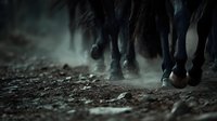 Herd of dark horses galloping through dusty terrain, kicking up clouds of dust and dirt, creating dramatic atmospheric effect for equestrian and wildlife content.