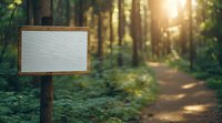 Empty wooden signpost on forest trail with sunlit path through green woods during golden hour, blank white board for text placement.