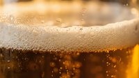Closeup of golden beer with thick foam head and condensation droplets on glass, showcasing refreshing beverage for advertising, hospitality, and food and drink marketing campaigns.