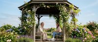 Elderly couple enjoying peaceful moment together in flower-covered garden gazebo surrounded by blooming roses and lavender on sunny day.