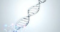 Transparent DNA double helix structure with glowing particles on white background, suitable for genetics, science, medical, and biotechnology design projects.