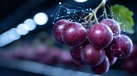 Fresh ripe red grape cluster with digital network overlay effect against dark background, concept of smart agriculture and digital farming technology.
