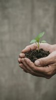 Cupped hands holding small green plant seedling growing from rich dark soil against blurred neutral background symbolizing growth and environmental care.