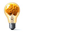 Light bulb with glowing orange brain inside on white background, creative thinking and innovation concept for business solutions and education.