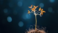 Orange flower seedling growing from soil with exposed roots against dark blue bokeh background, representing growth, new beginnings and nature's resilience.