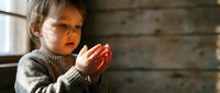 Young Caucasian boy in gray sweater holding red apple in warm sunlight by wooden wall, healthy eating and childhood nutrition concept.