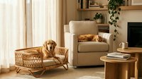 Golden retriever resting in a rattan pet bed beside an armchair with a sleeping orange tabby cat in a cozy, sunlit living room.