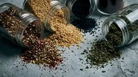 Assorted organic seeds and grains spilling from glass jars including quinoa, chia, flax and hemp seeds for healthy cooking and nutrition.