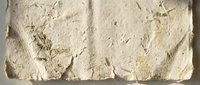 Ancient fossil specimens embedded in limestone rock showing prehistoric marine life forms and skeletal remains for educational and scientific study purposes.