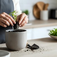 Hands gently protecting young green seedling growing in modern ribbed ceramic pot on kitchen counter, nurturing plant growth and sustainable living concept.