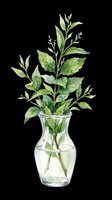 Watercolor green plant in a glass vase, isolated on transparent background. Great for stickers, t-shirt design, print on demand, clipart, and sublimation projects.