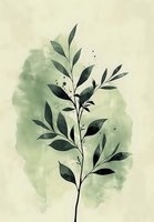 Elegant botanical branch with dark green leaves against soft sage watercolor background, minimalist nature artwork suitable for wall decor and stationery design.