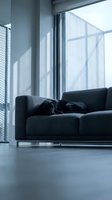 Black dog resting on dark gray sofa in modern minimalist living room with floor-to-ceiling windows, natural light, and polished concrete flooring for contemporary interior design projects.