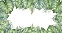 Tropical foliage frame with monstera and palm leaves on white background, isolated design element for invitations, posters, and social media graphics.