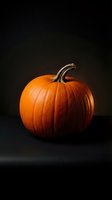 Fresh orange pumpkin with curved stem on dark background for autumn harvest decorations and Halloween seasonal designs.