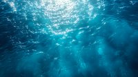 Underwater view looking up at sunlight streaming through crystal clear turquoise ocean water, creating natural light rays and rippling surface patterns.