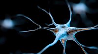 Microscopic view of neuron cell with branching dendrites and axons glowing in blue against dark background, showing neural network connectivity in brain tissue.