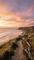 Dramatic sunset over coastal cliffs with golden sky reflecting on ocean waves and sandy beach below grassy dunes creating peaceful seascape for travel content.