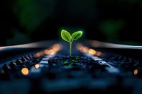 Young green sprout growing through computer keyboard keys with bokeh lights, symbolizing digital transformation and sustainable technology development.