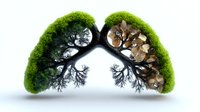 Lungs shaped environmental concept showing contrast between healthy green forest and dying brown woodland, symbolizing ecological impact on respiratory health.