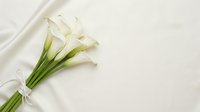White calla lily bouquet tied with ribbon on soft fabric background for wedding, bridal, romantic occasions and floral arrangements.