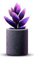 Cosmic purple succulent plant in gray pot with galaxy pattern and starry texture, isolated on white background for decoration and design projects.