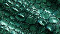 Emerald green crocodile leather texture with glossy scales and natural pattern. Close up macro shot showing luxurious exotic skin surface detail and structure.