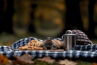 Cozy autumn picnic setup with metal thermos, fresh baked cookies and plaid blanket in forest setting. Warm outdoor food photography with selective focus.