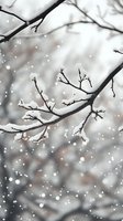 Snow-covered tree branches against blurred winter background with falling snowflakes creating magical seasonal atmosphere. Perfect for holiday designs.