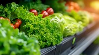 Fresh organic kale and mixed vegetables displayed in grocery store produce section with vibrant green leafy greens and cherry tomatoes for healthy eating.
