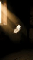 White feather floating in golden sunbeam through window with dust particles in dark atmospheric room creating peaceful spiritual moment.