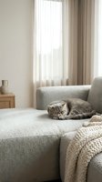 Adorable tabby kitten sleeping peacefully on cozy beige sofa in bright modern living room with natural sunlight streaming through curtains.